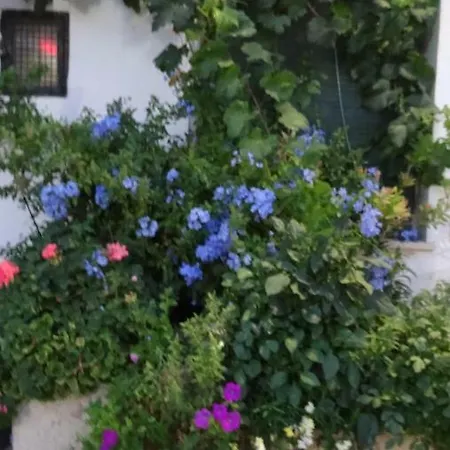 Διαμέρισμα Francisca Requena